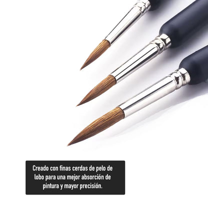 Pinceles Profesionales para Detalle - Detail Pro (5 piezas)